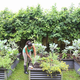 Illustration for article titled How To Start A Community Garden